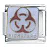  Hand   Painted  Biohazard Logo Italian Charm