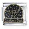 Constellation Capricorn Italian Charm