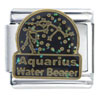 Constellation  Aquarius  Italian Charm