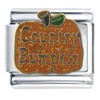 Country Bumpkin Italian Charm