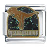 Tyrannosaurus Italian Charm