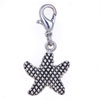 Seastar 925 Sterling Silver Clasp Charms