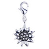 Hot Sun&amp;nbsp; 925 Sterling Silver Clasp Charms