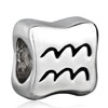 Zodiac Aquarius Silver Plated European Beads