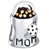 Mother Jewelry Watering Flower Pot With Mom 925 Sterling Silver Beads Char...