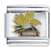 Hawaii Flower Italian Charm