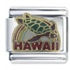 Hawaii Sea Turtle Italian Charm