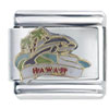 Hawaii  Dolphin  Italian Charm