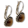 Gold Tone Elegant Crystal Earrings