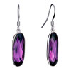 Purple February Birthstone Crystal Oval Dangle Earrings