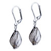  Earrings - Silver Foil Gray Hinged Earrings