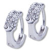 Crystals Hoop Stainless Steel Earrings