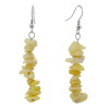 Shell Stone Chip Beads Earrings