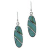 Oval Turquoise Earrings