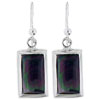 Abalone Earrings