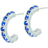 Blue Studded Crescent Earrings