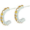 Orange Studded Crescent Earrings