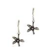 Star Hooped Earrings