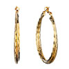  Earrings - Pretty Golden Double Hoop Earrings
