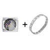 Cinderella  Italian Charm Bracelet FBT_5101_PG_STARTER