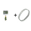  Wall  Street Dollar Italian Charm Bracelet