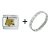 Playful  Kitty  Italian Charm Bracelet