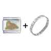 Curious  Walrus  Italian Charm Bracelet