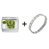 Green  Dragon  Fly Combination Italian Charm Bracelet