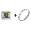 Nba Indiana Pacers Combination Italian Charm Bracelet