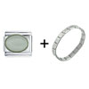 Oval  Moonstone  Italian Charm Bracelet