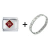  Luck  In Chinese Italian Charm Bracelet FBT_SHT118_STARTER