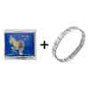 Zodiac Capricorn Italian  Charm   Bracelets  Combination