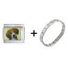 Lovely Beagle Combination Italian Charm Bracelet