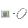 Maltese Dog Combination Italian Charm Bracelet