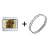 Dachshund Brown Dog Combination Italian Charm Bracelet