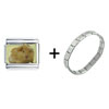 Guinea Pig Combination Italian Charm Bracelet