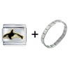 Killer  Whale  Jump Combination Italian Charm Bracelet