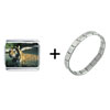 Tiger In  Water  Italian Charm Bracelet
