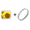  Sunflower  Close Up Combination Italian Charm Bracelet