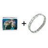 Manatee In The Ocean Combination Italian Charm Bracelet