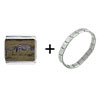 exotic photo charms - Zebra Family Italian Charm Bracelet
