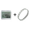 exotic photo charms - Rhinos On Green Field Italian Charm Bracelet