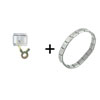 Rhinestone  Taurus  Italian Charm Bracelet