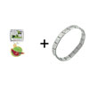 Indiana Italian  Charm   Bracelet 