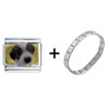  Shih   Tzu  Puppy Combination Italian Charm Bracelet
