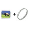Elephant In  Nature  Italian Charm Bracelet