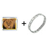 King Of The Jungle  Lion   Italian   Charm  Bracelet