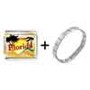 Gold Plated  Travel  &amp; Culture Florida Photo Italian Charm  ... 