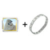 Polar  Bear  Hug Italian Charm Bracelet