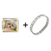 Shih   Tzu  Dog Combination Italian Charm Bracelet